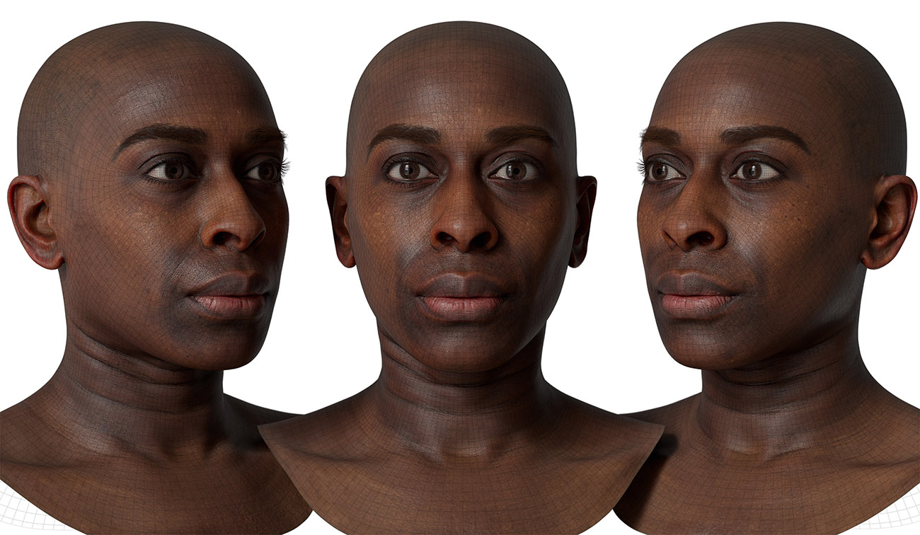 head model wireframe mesh